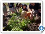 Pocatello Community Charter School - Learning Garden
